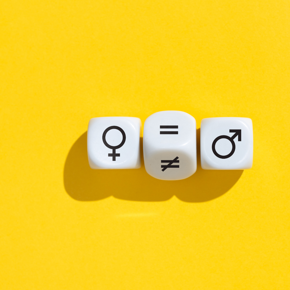 Index égalité Femme Homme